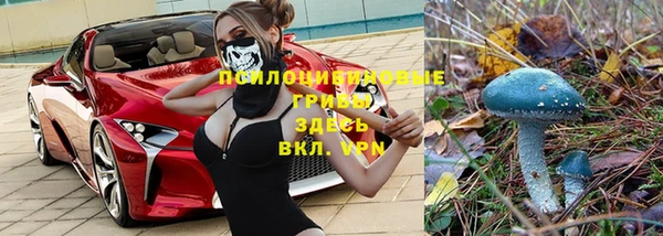 мяу мяу мука Абдулино